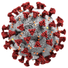 Understanding the coronavirus crisis